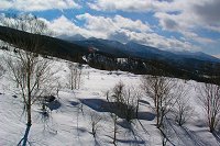 ���[�v�E�F�C����씪���x���ʁB