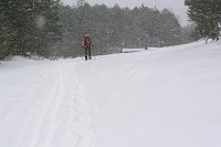 ����̒��A�������Ђ���������E�E�E