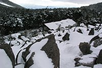 �S�c�S�c������̍����΂Ə����̉�����������B