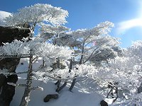 ���X�������P���B