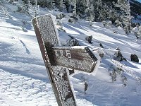 �΂̉͌��͘[���狭�����������オ��B