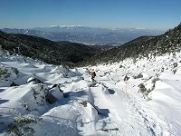 �΂̉͌������A���v�X�B