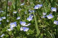 �I�I�C�k�m�t�O��