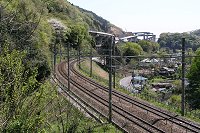 �i�q�������ƌ�����