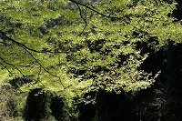 �萁���̋P�����������I�I