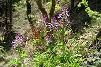 �����T�L�P�}���\�E