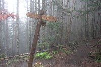 ���R�W�]��̕���B