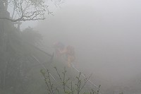 �K�X���Z���Ď��܎��E�������[�g���܂Œቺ�B���������Ȃ��Ă��܂����B