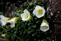 �C���E��