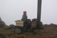 �n���̓��ɒ������Ă��邨�n������B