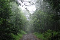 ����������X�̗ѓ�������܂��B