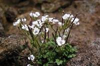 �~���}�^�l�c�P�o�i