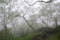 ���̂�����܂ō~���Ε������I�Ɏ�܂�B