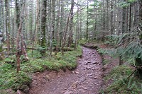 ��򃋁[�g�̍ŏ��̍��͊ɂ₩�ȌX�΂̎��ёсB