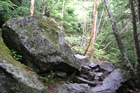 �r������k�J�̓��ɂȂ�₪�S���S���ŕ����ɂ���(+_+)