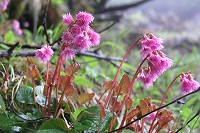 �C���J�K�~����R�炢�Ă��ĉ����B