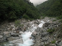 ��̉��ɖk�䂪�����锤�Ȃ̂ł����E�E�E�B