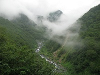 �{�J�򂪌����Ă����B