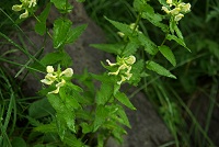 �G�]�V�I�K�}