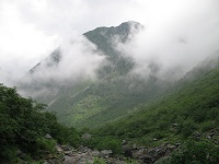 �U��Ԃ�ƛ����₪�����Ă����I�I�@