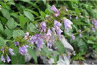 �~�\�K���\�E