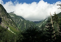 �k�䂩�瑱���ƕ��́A���̑�L���b�g���ȁH