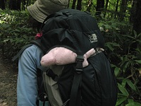 �劈��̃u�[�����Ɖ��R�ł�(^-^)