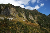 ���������̋ѐD�̍g�t���f���炵���I