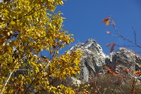 �����̎��ł��傤���H�@�����Ɋ��Ⴕ�ĎO�i�g�t�ł��I�I�@�L���`��