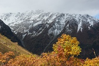 �U��Ԃ�Ɗ��Ⴕ�ĉ��������B��O�̍g�t�Ƃ̃R���g���X�g���������B