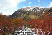 �����ƃi�i�J�}�h�̍g�t���������B