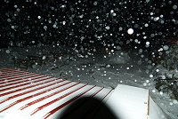 ���ܐ��Ⴋ������ɍ~�葱���T���T���̐�B