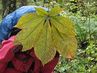 �����C�z�͖����Ȃ��E�E�E�Q���i���ł��B