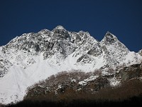 �P������x�B