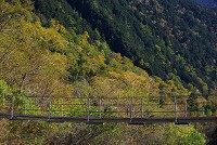 �{�J�����ӂ͂܂��܂��g�t�������ł����B