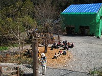 �����������Ƃ̉��t�̖؂̗t���΂�����Ɨ��t���Ă����B