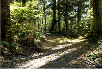 ���т̓��͏_�炩�ȓ������ŋC�����������B