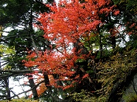 ����ȐԂ��g�t���������肷��B