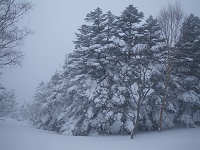 ��Ȃ��̂Ń��[�g������E�E�E�B