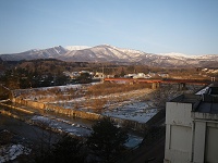 ��������Ɛ��ꂽ�����A��ɂق�̂�ƒ��z��������B