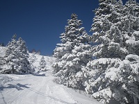 �W�����オ��ƒ��Ⴊ�L���L���Ɣ������I�I