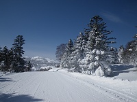 �������Œf�O�������[�g���C�����悭�����B