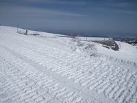 ���̂�����ŃG�R�[���C���ƍ�������B