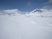 �����̕���Ɛጴ�B�J�̉��ɑ����̂���������B