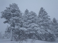 �W�����オ��ƒ��Ⴕ�����؂������Ȃ��Ă����B