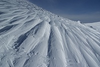 ���ɍ����ጴ�̕��䂪�����B