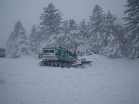 �ό��p���Ԃ��~��Ă����B���E�s�ǂň����Ԃ��Ă����������E�E�E�B