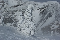 ���ꂭ�炢�ł������X�^�[�ɂ͂قǉ����I�I