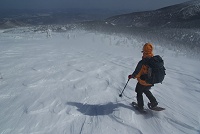 �A��͗󕗂��w�ォ�琁���t����I�I