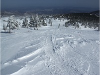 �Z�k�̂��߃o�b�N�J���g���[�̃��[�g��i�ށB�T�N�T�N�ł����`